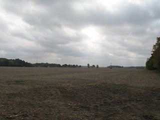 Property photo 17 - 76.8 +/- Acres Mostly Tillable - Land Auction